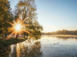 mystisk solig morgon- landskap med dimma över de sjö. foto