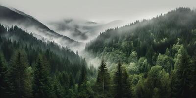 ai genererad. ai generativ. Foto realistisk illustration av bergen skog dimma morgon- mystiker. grafisk konst