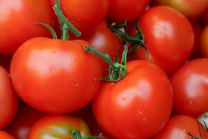 skön färsk röd tomater foto