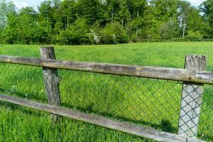 staket med mycket grön äng foto
