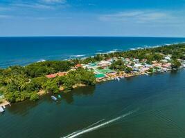 tortuguero nationell parkera sköldpadda strand kust costa rica foto