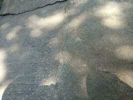 Foto av en golv tillverkad av cement med en skugga av en skuggig träd under de dag