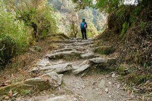 en ung resande vandring på skog spår , nepal foto