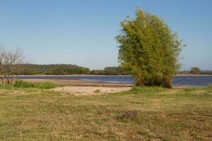 sommar landskap på de banker av de flod i de stad av federation provins av entre rios argentina foto