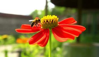 vibrerande gul och lila vild locka till sig upptagen honung bin utomhus genererad förbi ai foto