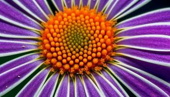 vibrerande gerbera daisy i äng ställer ut skönhet i natur färger genererad förbi ai foto