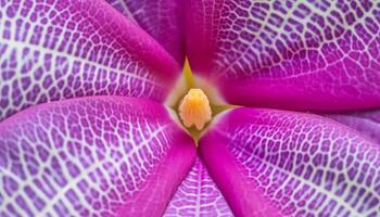 organisk elegans i natur bukett av mång färgad tropisk blommor genererad förbi ai foto