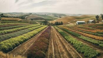 de panorama- se av de lugn vingård ställer ut organisk skönhet genererad förbi ai foto