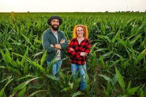 familj jordbruks ockupation. man och kvinna är odla majs. de är nöjd med Bra framsteg av växter. foto