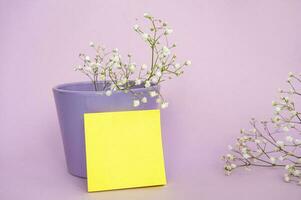 små lila och vit Gypsophila blommor på en rosa bakgrund foto