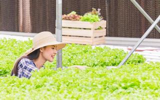 asiatisk kvinna kontrollera kvaliteten på färska och ekologiska grönsaker från odlingen av grönsaker och hydroponics foto