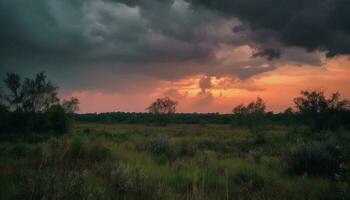 solnedgång över de afrikansk savann, dramatisk himmel genererad förbi ai foto