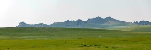 panorama- se av de stäpp av mongoliet foto