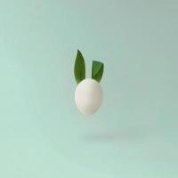 kreativa påsk minimal koncept vitt ägg med kaninöron gjorda av blad foto