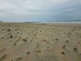 skal och stenar de strand på de nordlig hav i blavand Danmark foto