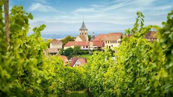 landskap av Alsace område i Frankrike foto