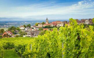 landskap av Alsace område i Frankrike foto