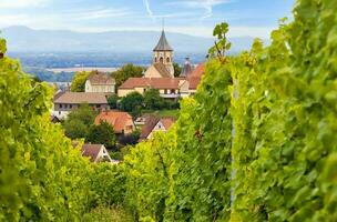 landskap av Alsace område i Frankrike foto