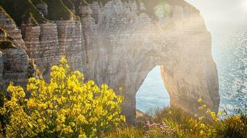 etretat klippa i Frankrike foto