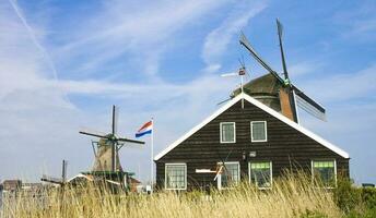 nederländerna färgrik Land av väderkvarnar och tulpaner blommor foto