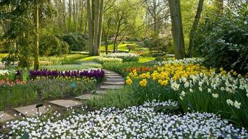 nederländerna färgrik landskap och blommor foto