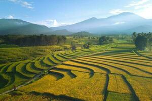 skön morgon- se indonesien panorama landskap irländare fält med skönhet Färg och himmel naturlig ljus foto