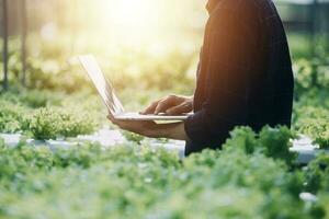 jordbrukare plantage kontroll kvalitet förbi läsplatta lantbruk modern teknologi begrepp. smart jordbruk, använder sig av modern teknik i lantbruk. man agronom jordbrukare med digital läsplatta dator. foto