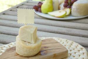 italiensk får ost- saltade ricotta ost foto
