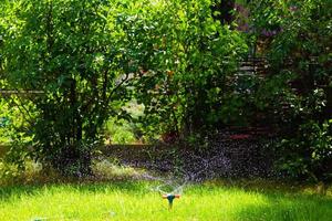 roterande trädgårdssprinkler vattnar gräs foto