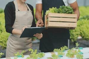 ung asiatisk kvinna och senior man jordbrukare arbetssätt tillsammans i organisk hydroponiska sallad vegetabiliska odla. modern vegetabiliska trädgård ägare använder sig av digital läsplatta inspektera kvalitet av sallad i växthus trädgård. foto