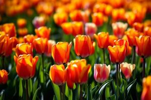 blad blomma natur blommor bakgrund skön kopia himmel blommig grön vår Plats. generativ ai. foto