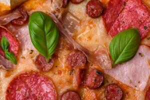 utsökt färsk ugn bakad pizza med salami, kött, ost, tomater foto