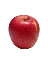 en röd äpple på en vit bakgrund foto