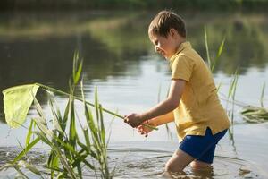 en liten pojke med en fjäril netto fångster fritera i de sjö. foto