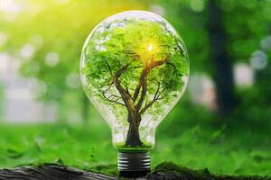 generativ ai. ett elektrisk ljus Glödlampa på de grön gräs och en träd inuti Det. jord dag. solljus i natur. energi sparande begrepp foto