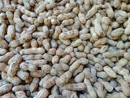 oskalade jordnötter textur. jordnöt bakgrund foto