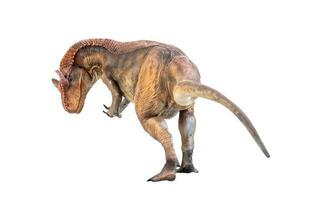 dinosaurie , allosaurus på isolerat bakgrund foto