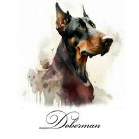 vattenfärg illustration av en enda hund ras doberman. ai genererad. hund porträtt. foto