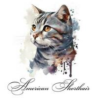 vattenfärg illustration av en enda katt ras amerikan kort hår. ai genererad. vattenfärg djur- samling av katter. katt porträtt. illustration av sällskapsdjur. foto