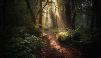 lugn skog gångstig, mysterium i de luft genererad förbi ai foto