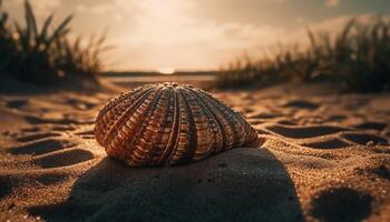 tropisk sjöstjärna på sandig strand på solnedgång genererad förbi ai foto