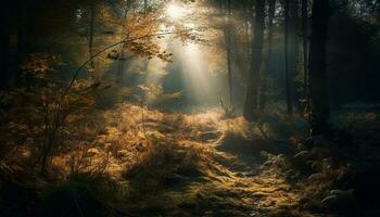 mystisk skog i höst, läskigt skönhet finns i överflöd genererad förbi ai foto