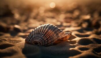 gyllene spiral snäckskal, sjöstjärna smycka de sand genererad förbi ai foto