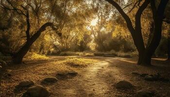 höst solnedgång, lugn skog skönhet i natur genererad förbi ai foto