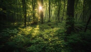 lugn gångstig vindar genom vibrerande höst skog genererad förbi ai foto