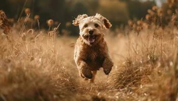 små terrier och gyllene retriever spelar i vatten genererad förbi ai foto