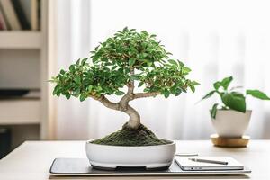 bonsai salighet nybörjare handbok med fängslande vit bakgrund fotografera av ficus bonsai generativ ai foto