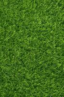 grön gräs textur bakgrund gräs trädgård begrepp Begagnade för framställning grön bakgrund fotboll tonhöjd, gräs golf, grön gräsmatta mönster texturerad bakgrund.. foto