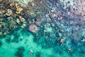 turist snorkling med korall rev i tropisk hav på semester foto