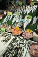 färsk fisk i is på lokal- marknadsföra affär foto
